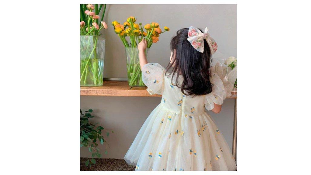 1-6 Tahun Rok Anak Perempuan Musim Panas Gaun Lucu Bordir Baru Wanita Versi Korea