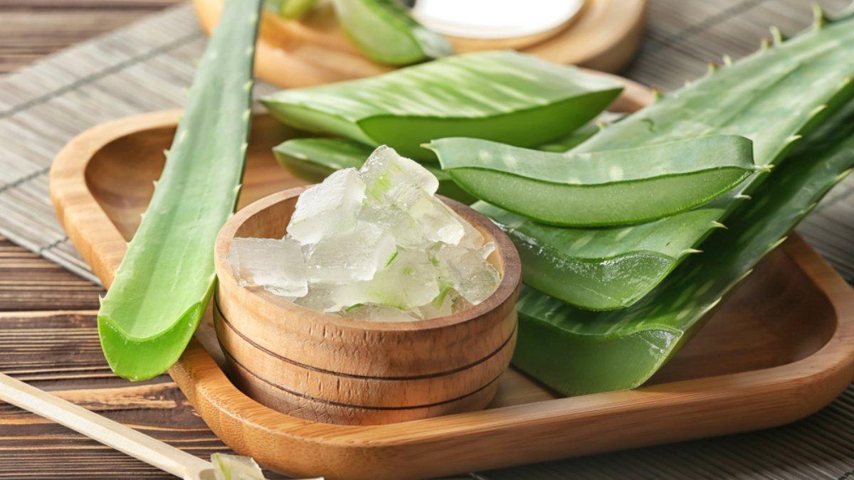 Lidah buaya bagus untuk hair mask alami.