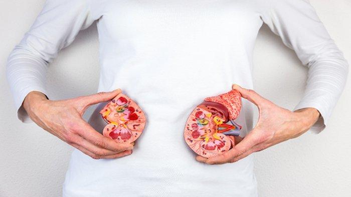 Ilustrasi organ tubuh yang bisa rusak karena merkuri.