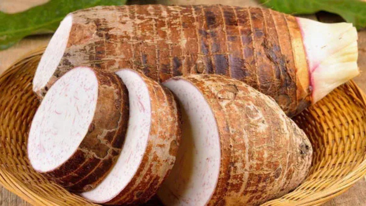 Talas ungu juga bisa menjadi makanan untuk memenuhi kebutuhan asam amino esensial dalam tubuh.