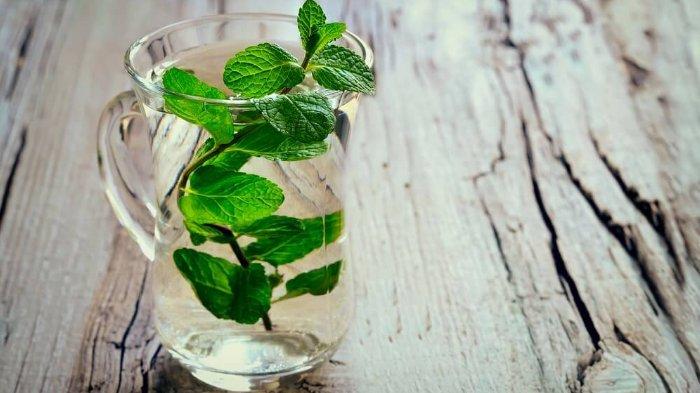 7 Manfaat Daun Mint untuk Keperluan Rumah Tangga
