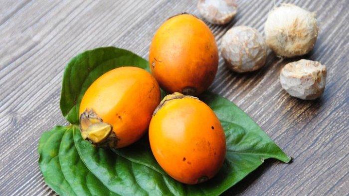 7 Manfaat Kesehatan Buah Pinang yang Sering Dikonsumsi Masyarakat Papua