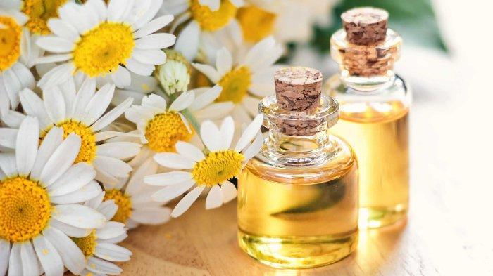 Chamomile jadi kandungan skincare yang aman untuk kulit sensitif.