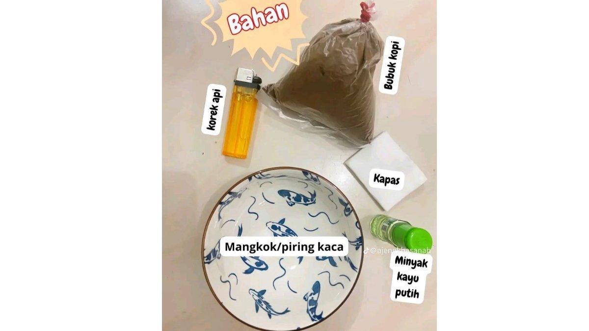 Alat dan bahan mengusir nyamuk ala TikTok/@ajengkhasanah