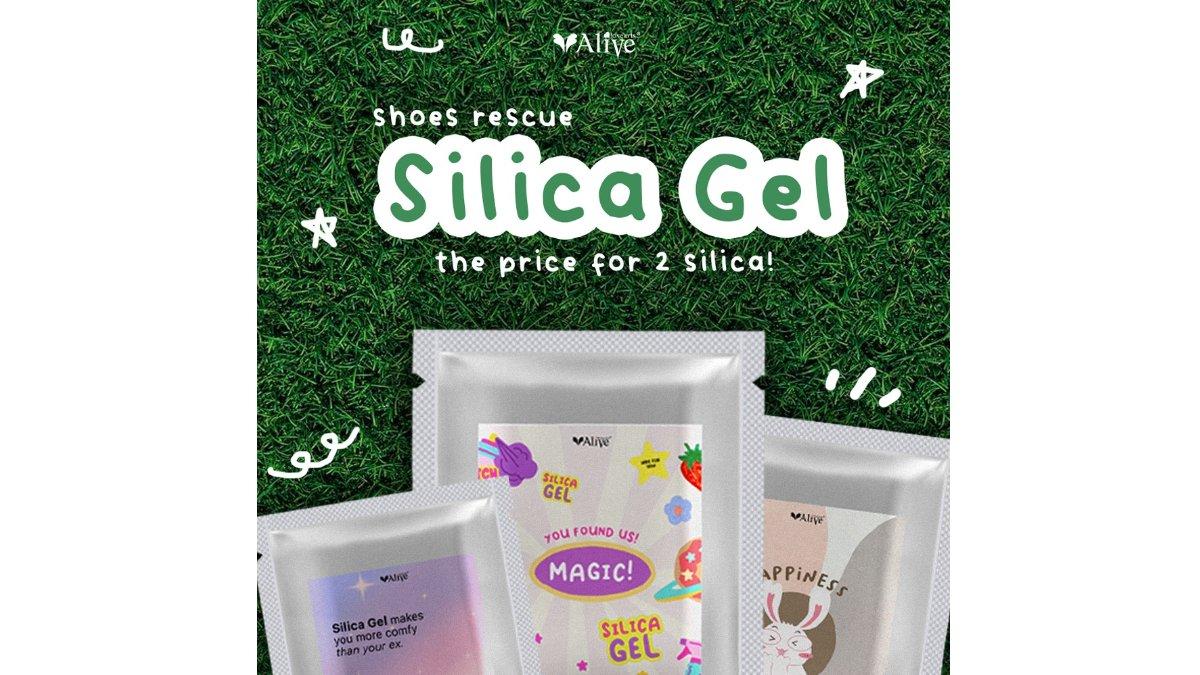 Alivelovearts Silica Gel for Shoes & Bags