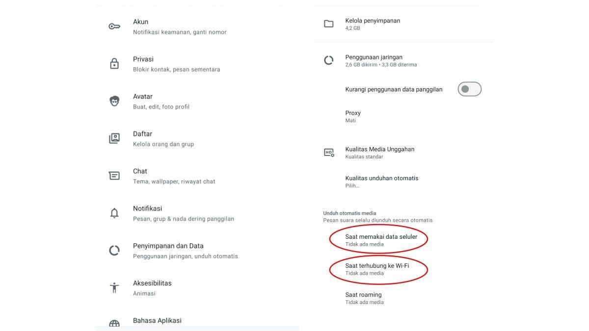 Ilustrasi fitur Auto-Download Media di WhatsApp