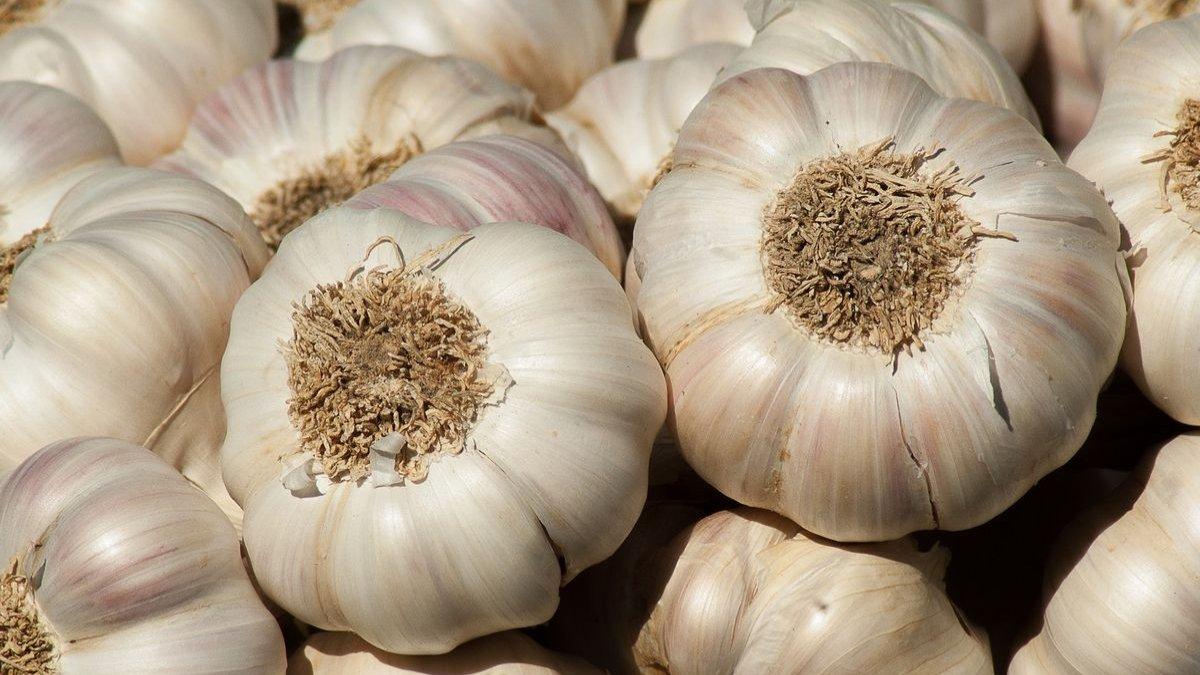 Kulit bawang bisa bantu menyuburkan tanaman.