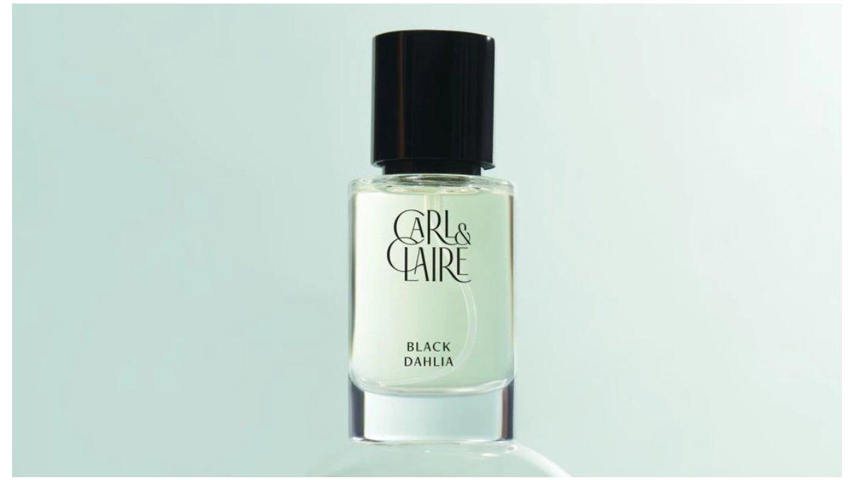 Carl & Claire Black Dahlia 