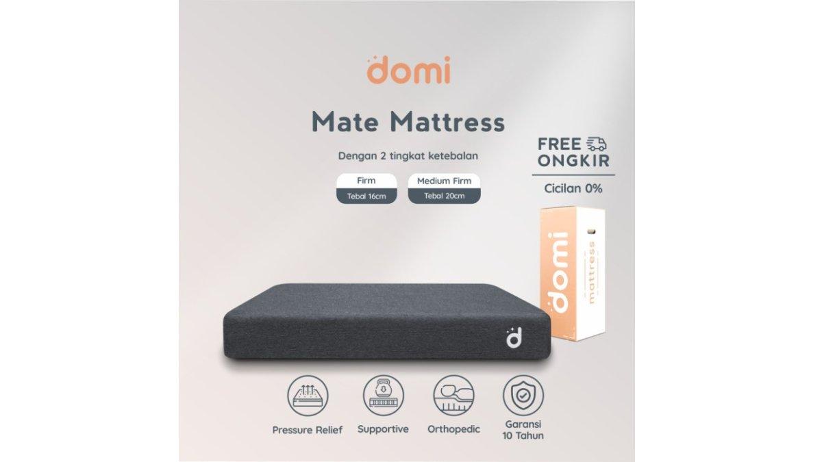 Domi Mate Mattress Supportive Foam Mattress