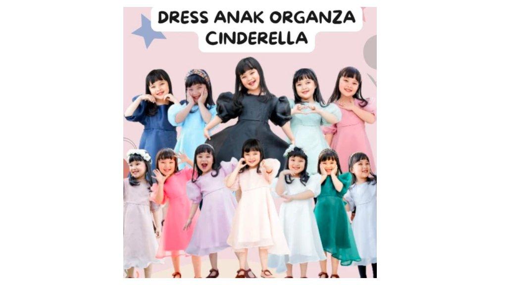 Dress Anak Organza Dress Cinderella Dress Anak Korean Style