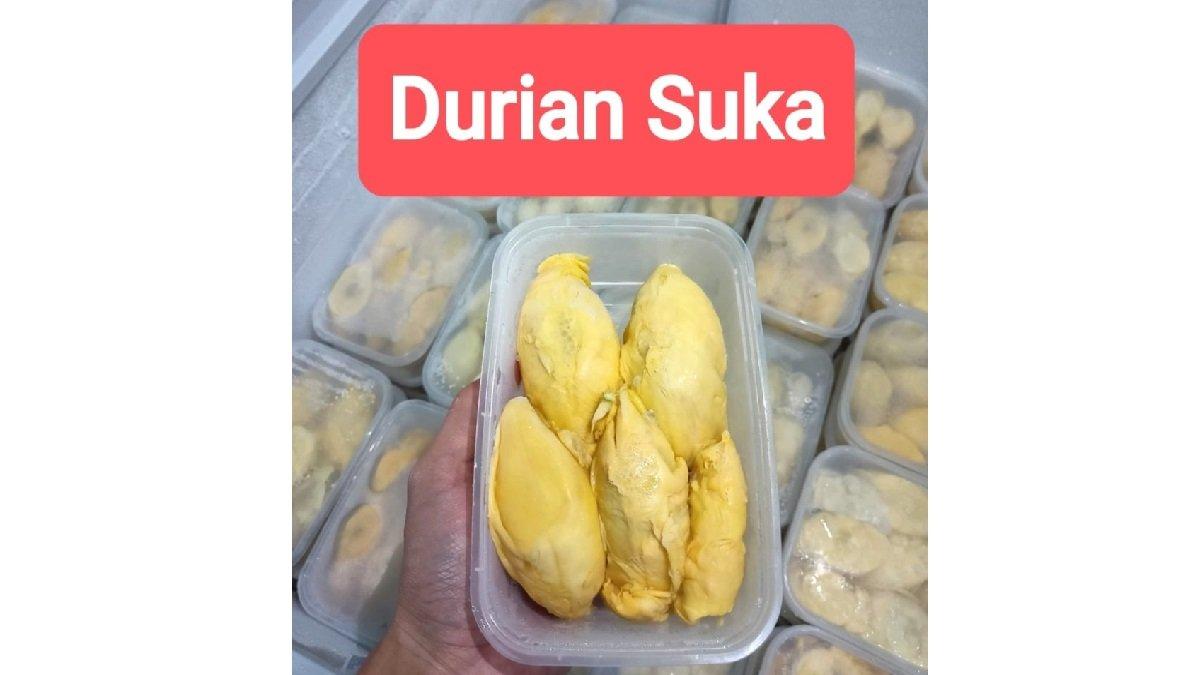 Durian Kupas Medan Nias Box Kecil 500 Gram