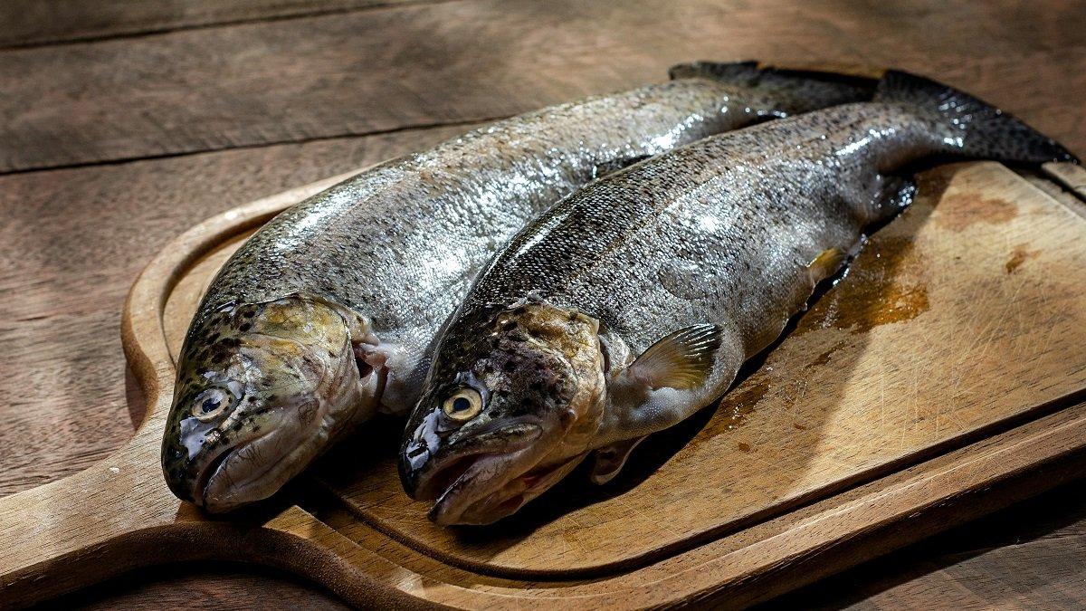 Ilustrasi ikan sebagai bahan makanan MPASI yang dapat mencegah stunting.