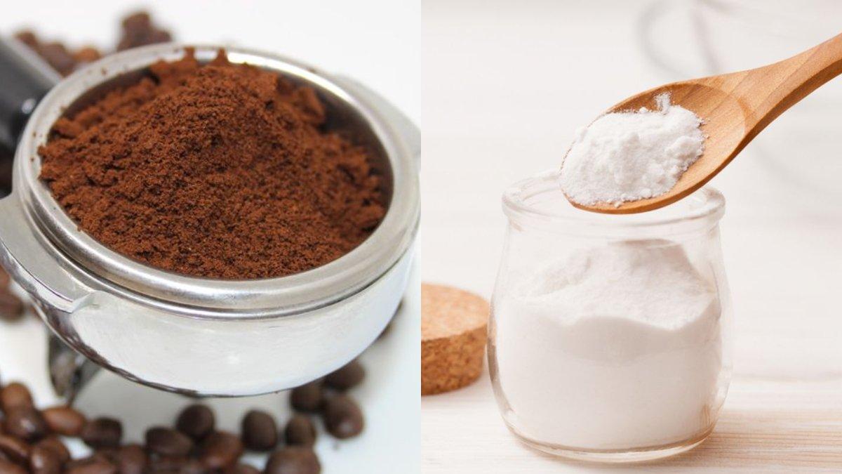Ilustrasi bubuk kopi dan baking soda untuk membantumu mengatasi keberadaan kecoa di rumah.