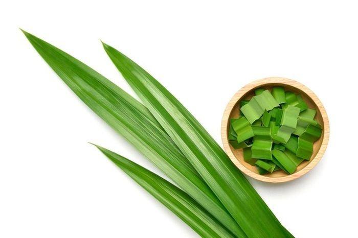 Ilustrasi daun pandan untuk berbagai keperluan rumah tangga, terutama atasi bau.