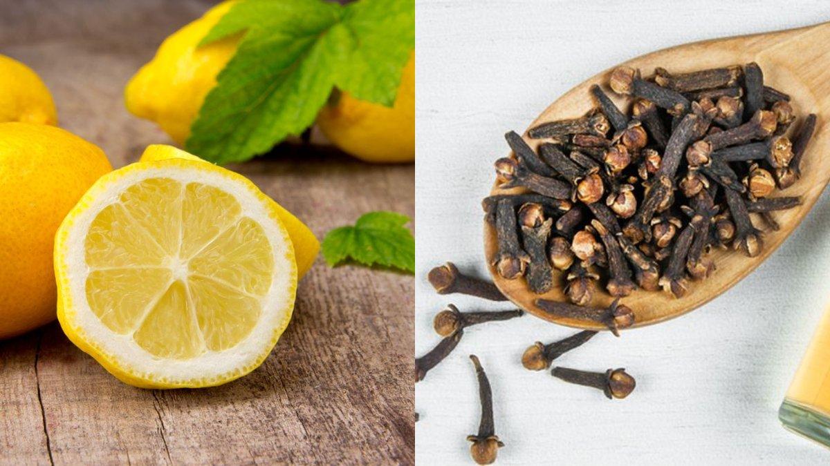 Ilustrasi lemon dan cengkeh, dua bahan yang bisa membantu mengusir lalat di rumah secara mudah.
