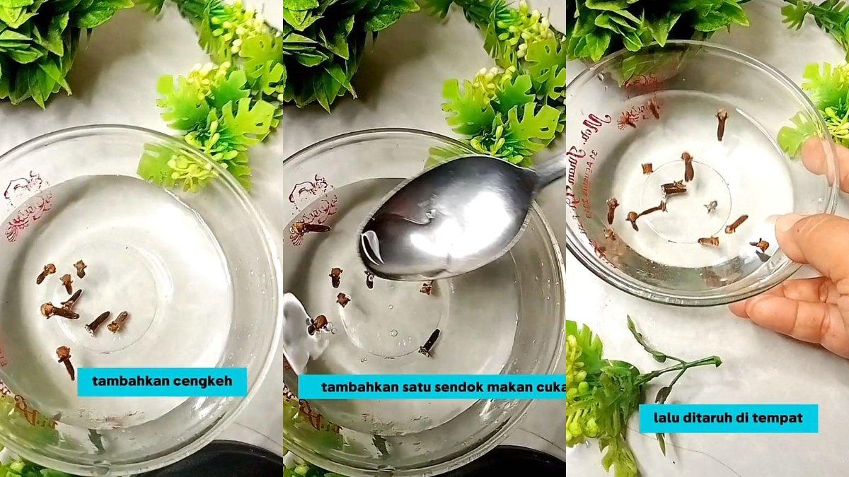 Ilustrasi membuat bahan pengusir cicak menggunakan cengkeh, air dan cuka makan saja, lebih praktis.