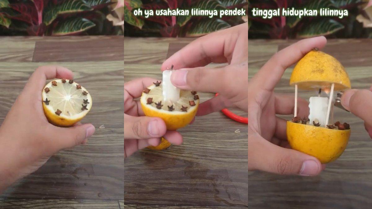 Ilustrasi mengaplikasikan lemon, cengkeh dan lilin untuk mengusir lalat.