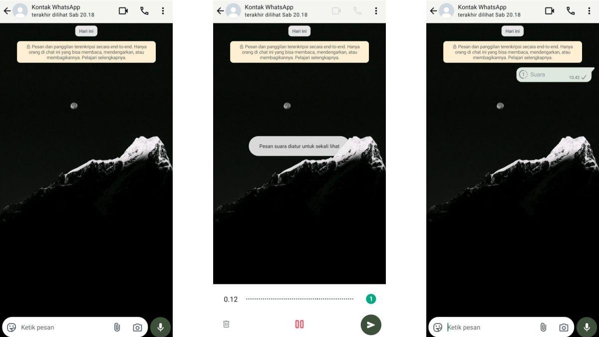 Ilustrasi mengirim voice note atau pesan suara WA sekali lihat