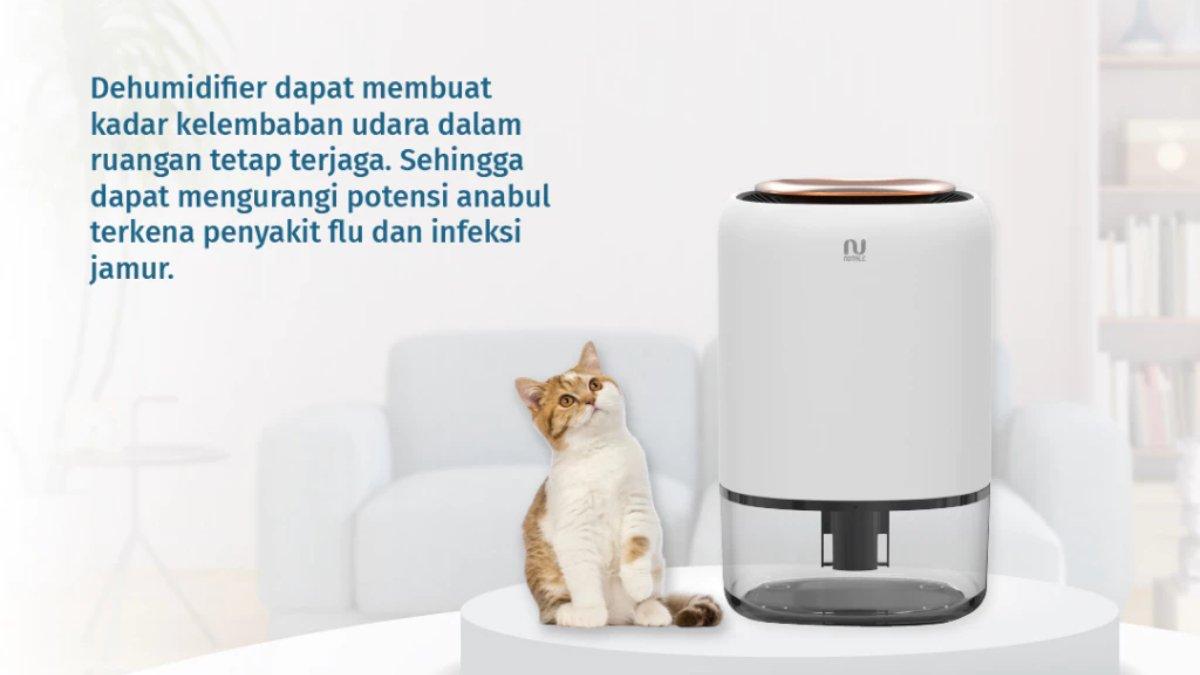  NOTALE Dehumidifier Suvo Air Dryer 