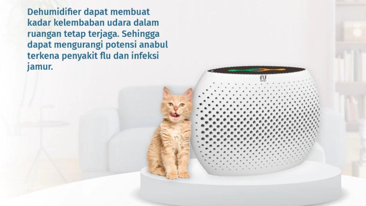 NOTALE Mini Dehumidifier Air Dryer