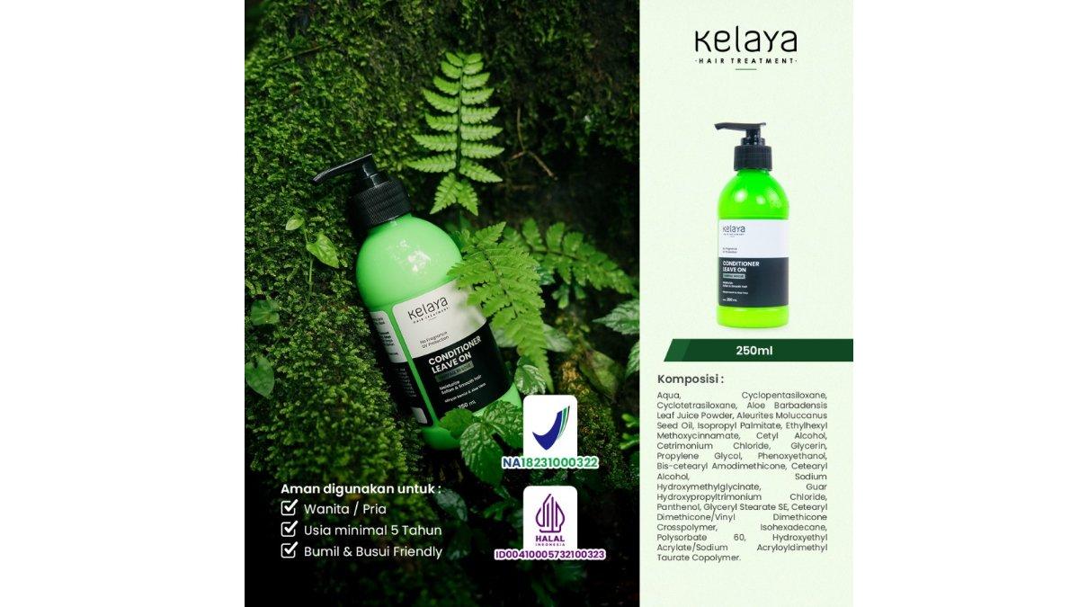 Kelaya Hair Treatment Conditioner Leave On