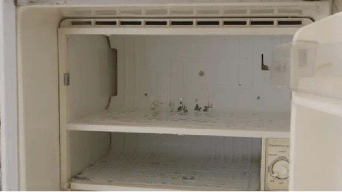 Kosongkan freezer untuk mempermudah membersihkannya
