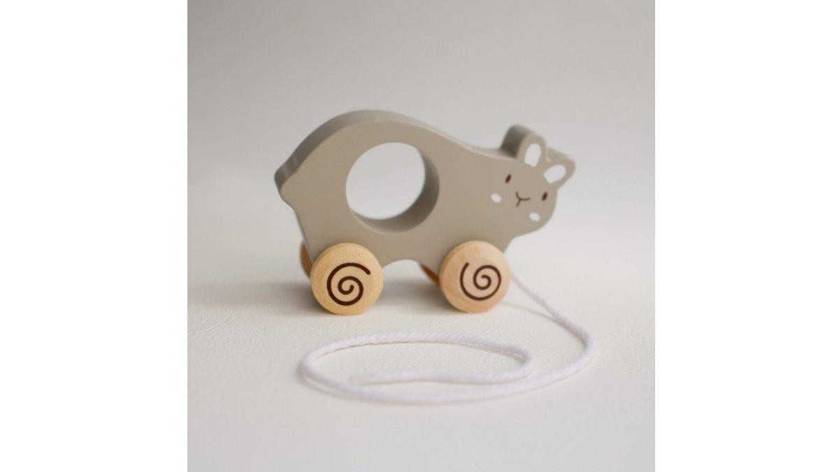Lettering and Life Pull Along Bunny Walking Toy