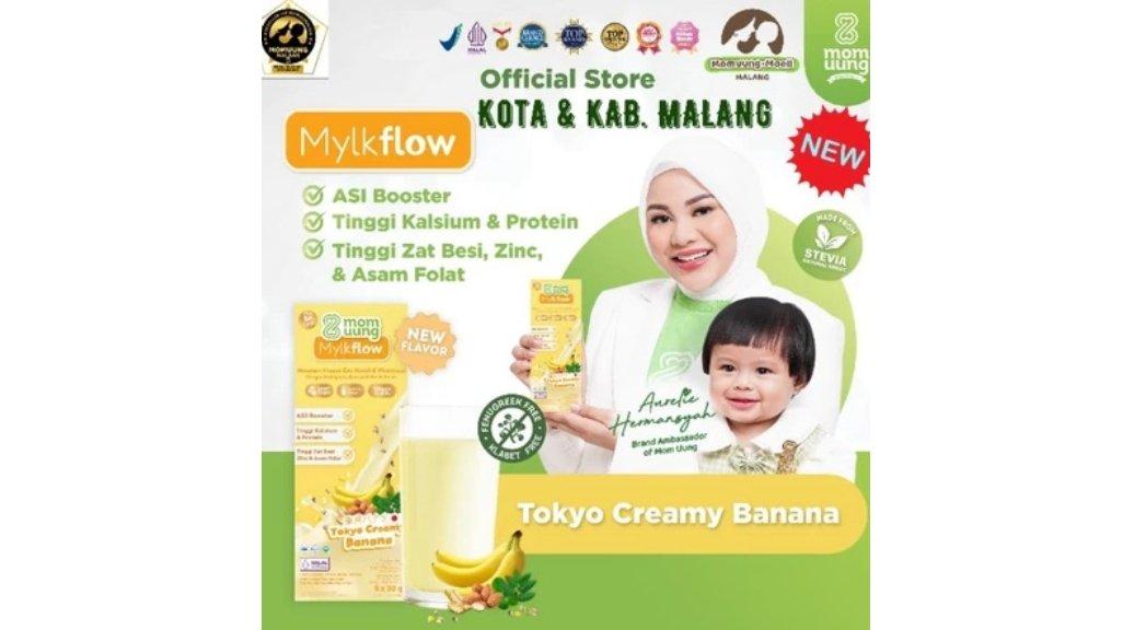 Mom Uung Susu Mylkflow ASI Booster