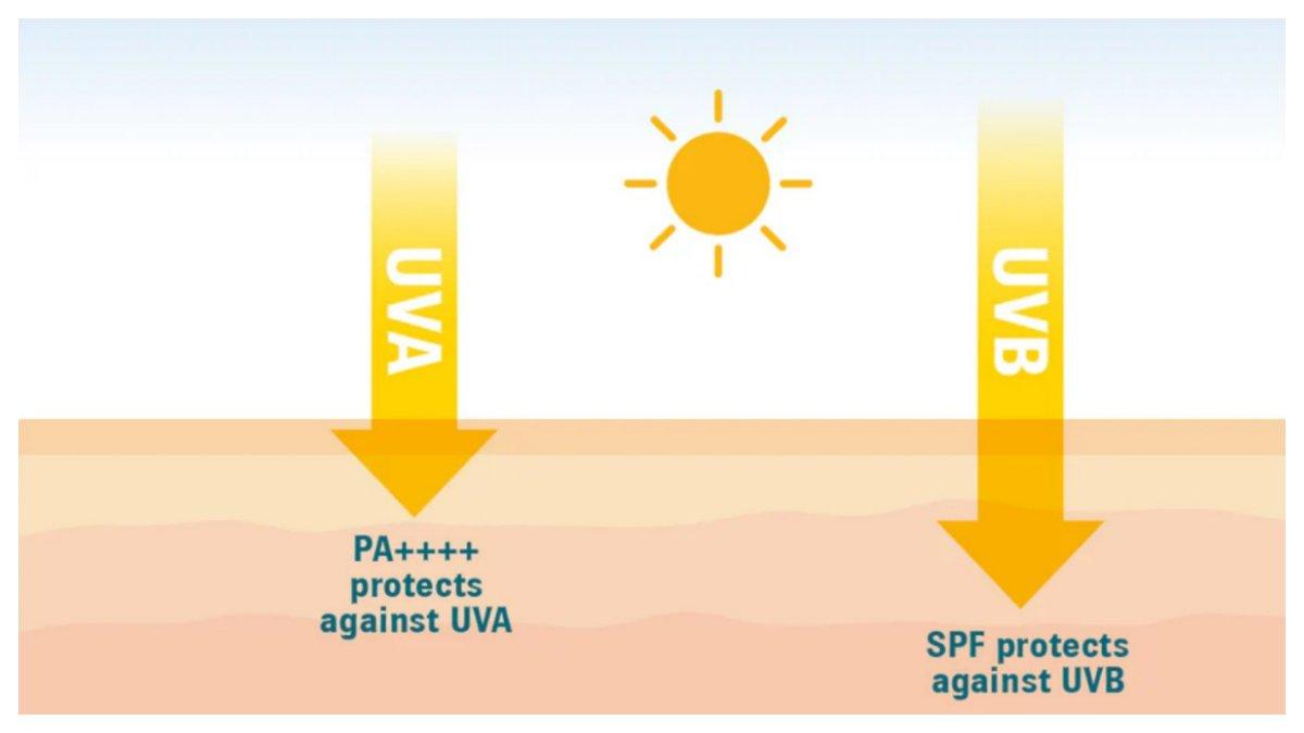 PA pada sunscreen