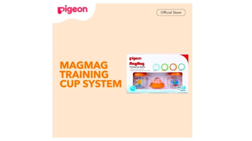Pigeon Mag Mag All in One Set
