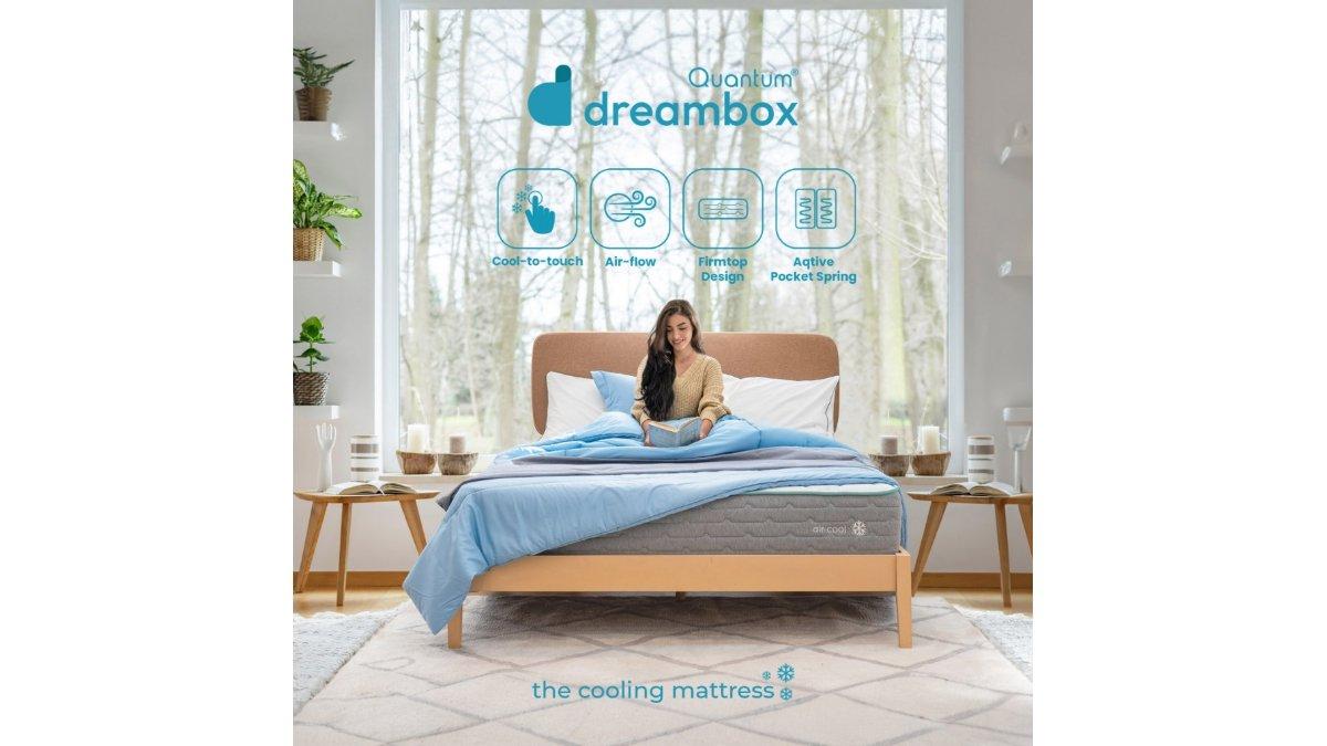 Quantum Dreambox Kasur Dingin Air-Cool 25cm
