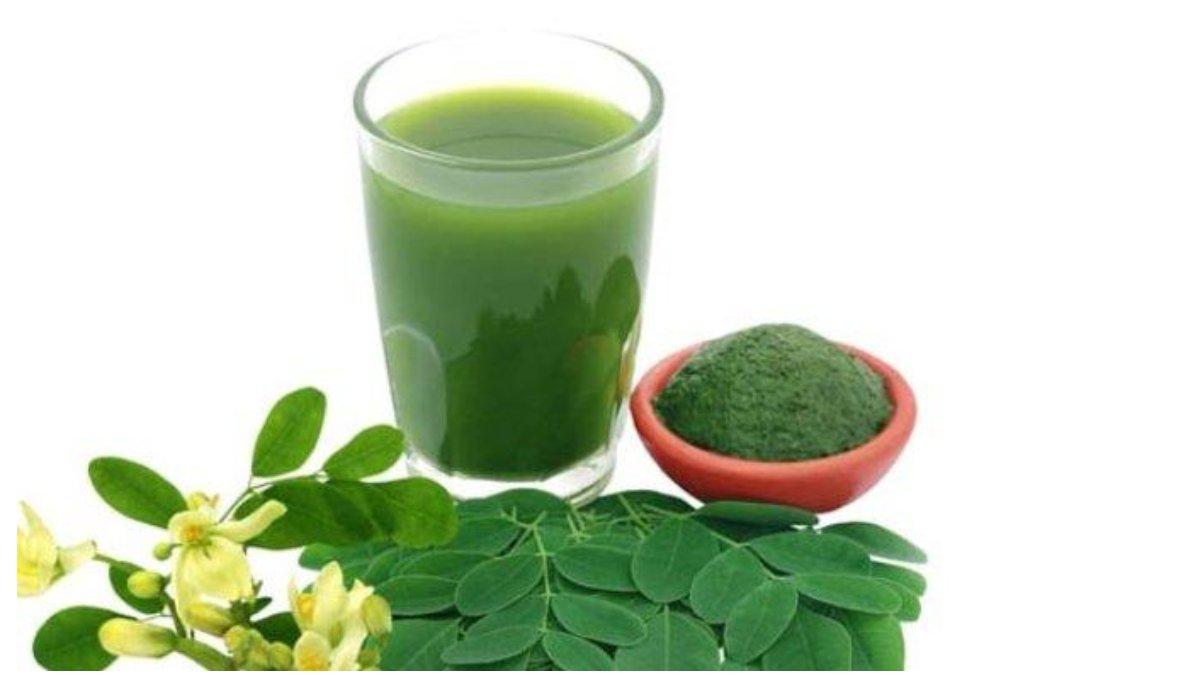 RESEP JUS DAUN KELOR