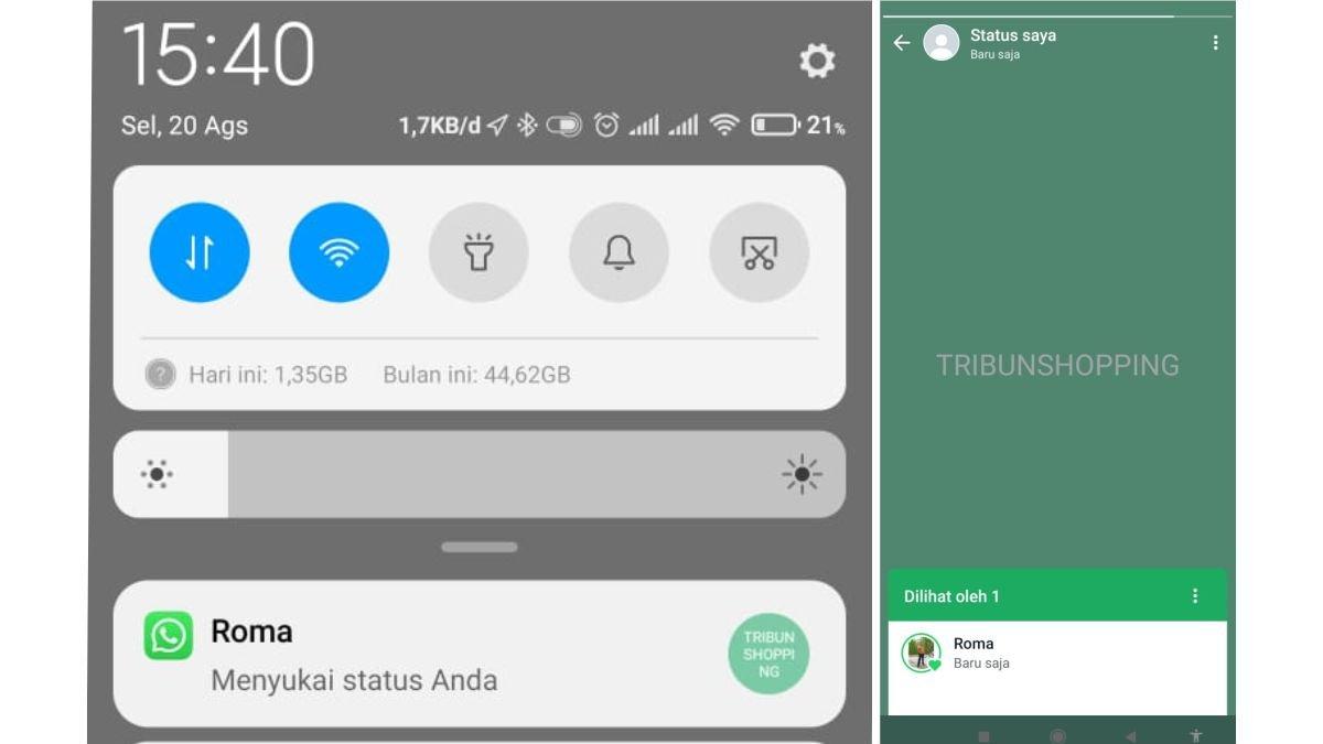 Tampilan status WA yang disukai di sisi pemilik atau pengunggah story