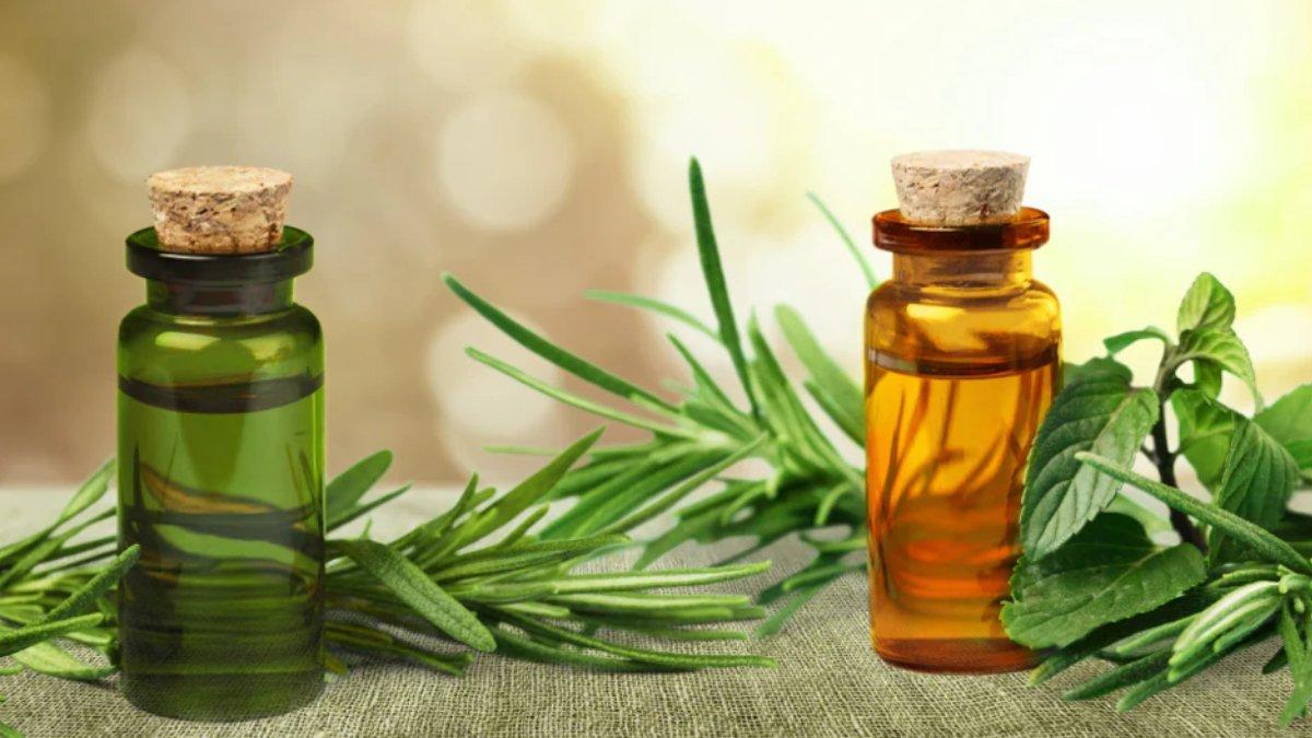 Tea tree oil bisa menjadi salah satu bahan alami yang dapat mengatasi kulit kering dan mengelupas.