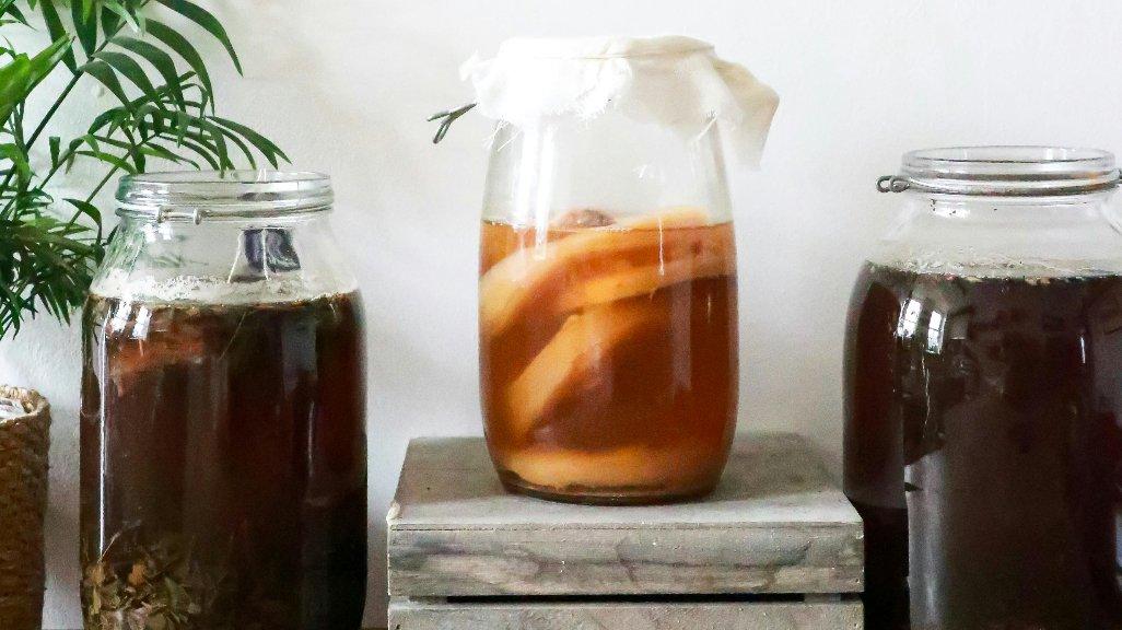 Teh Kombucha