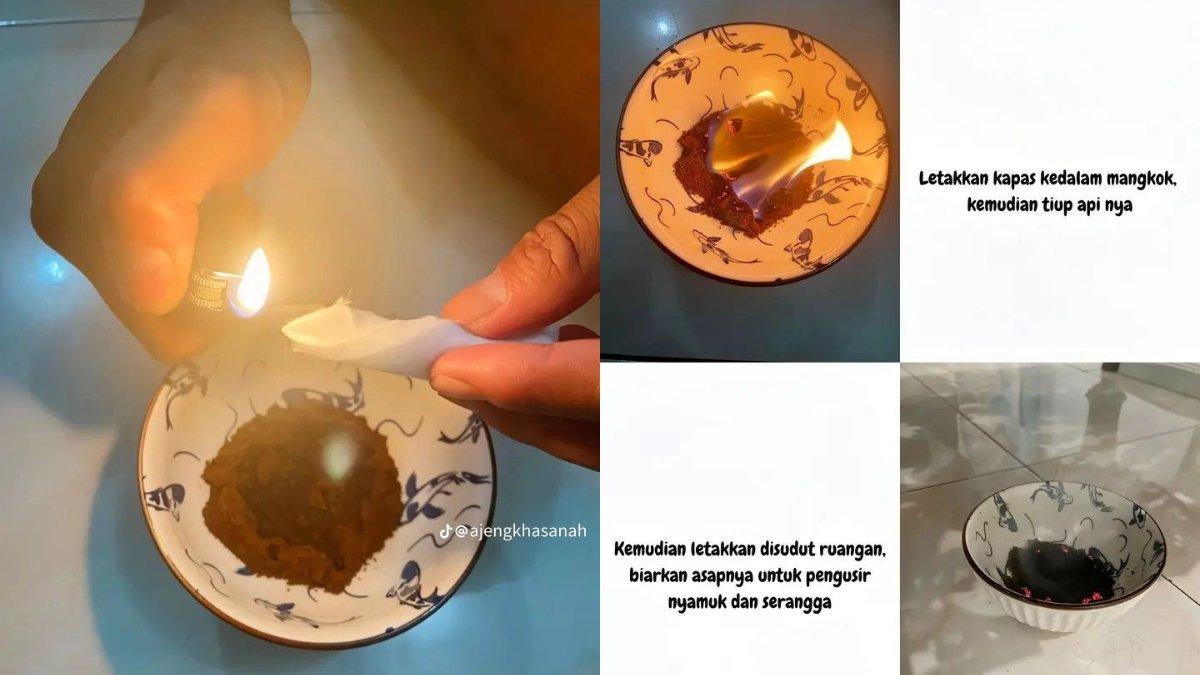 Tips mengusir nyamuk secara mudah ala TikTok/@ajengkhasanah.