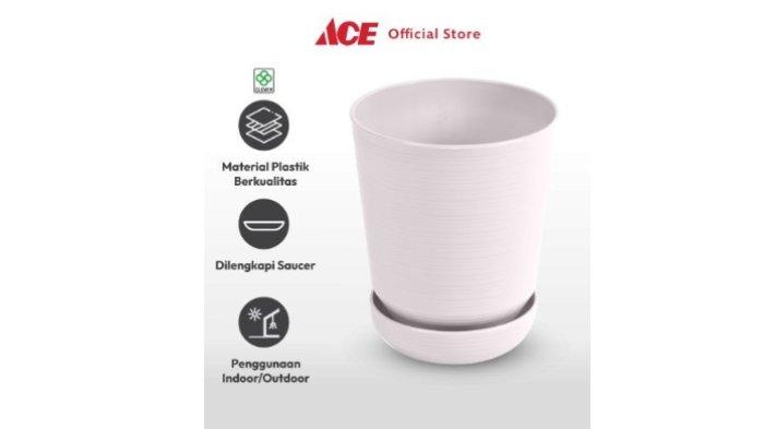ACE Clover Pot Tanaman Dengan Alas B135.