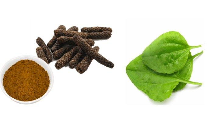 Perpaduan bahan herbal perontok asam urat.