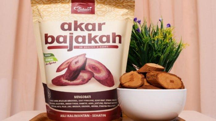 Akar Bajakah Sehatin Herbal