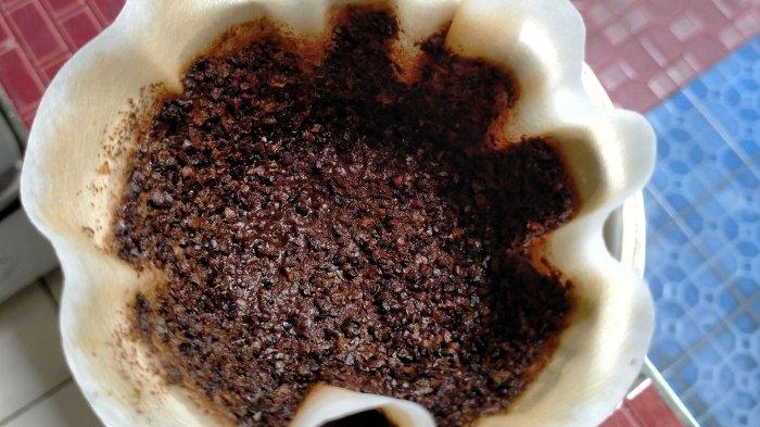 Ampas kopi bisa membantu mengatais bau bangkai tikus.
