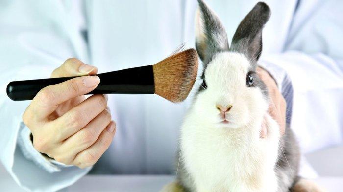 Animal Cruelty Free