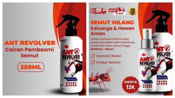 ANT REVOLVER