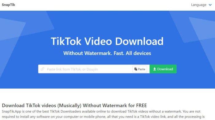 Ilustrasi Aplikasi SnapTik Download Video Instagram