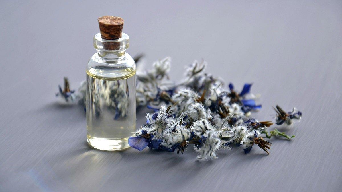 aroma parfum bayi