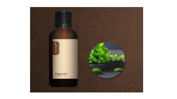 Bathaholic Peppermint Essential Oil 50 ml.