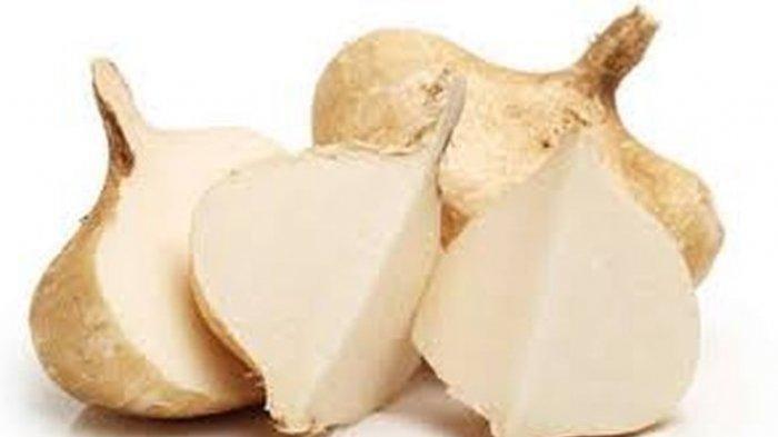 Manfaat buah bengkuang untuk kecantikan