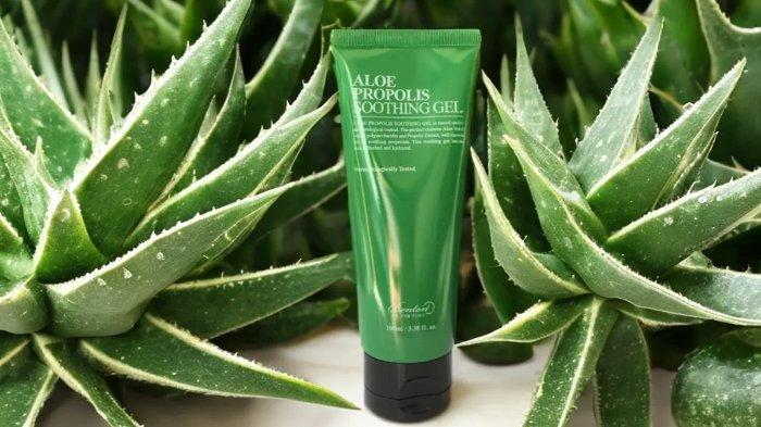 Benton Aloe Propolis Soothing Gel 