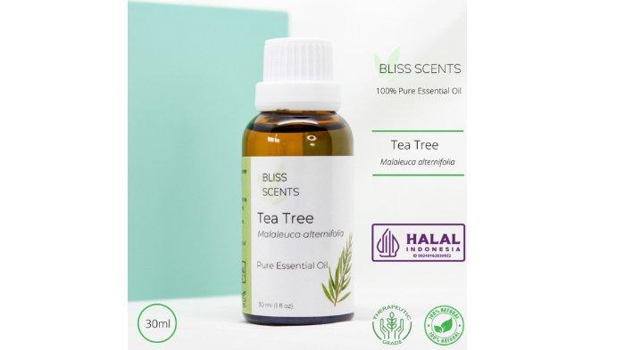 Tea Tree Essential Oil 30ml 100 persen Murni