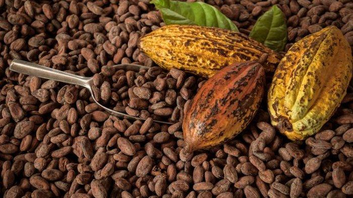 Buah Cokelat mengandung kafein yang harus dihindari penderita GERD.