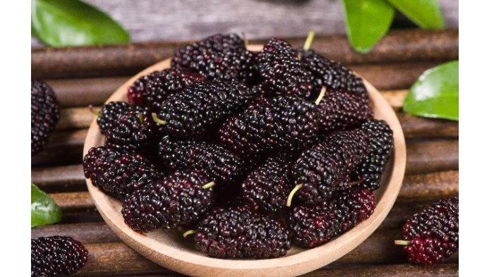 Buah mulberry yang memberikan banyak manfaat untuk kecantikan kulit